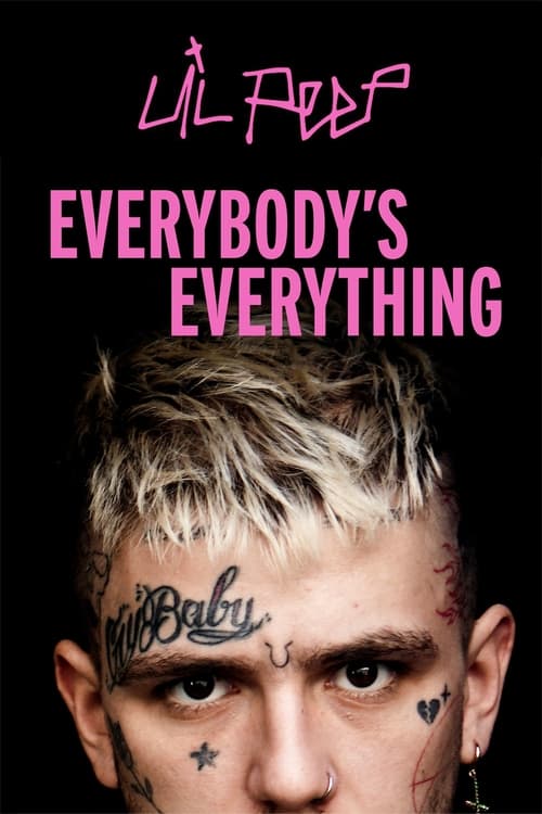 Everybody’s Everything poster