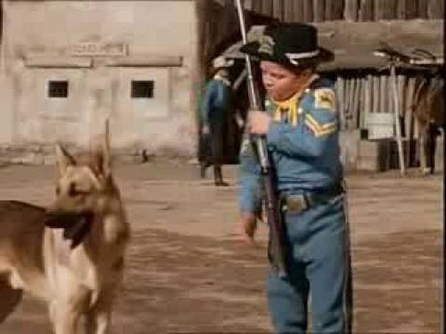 Poster della serie The Adventures of Rin Tin Tin