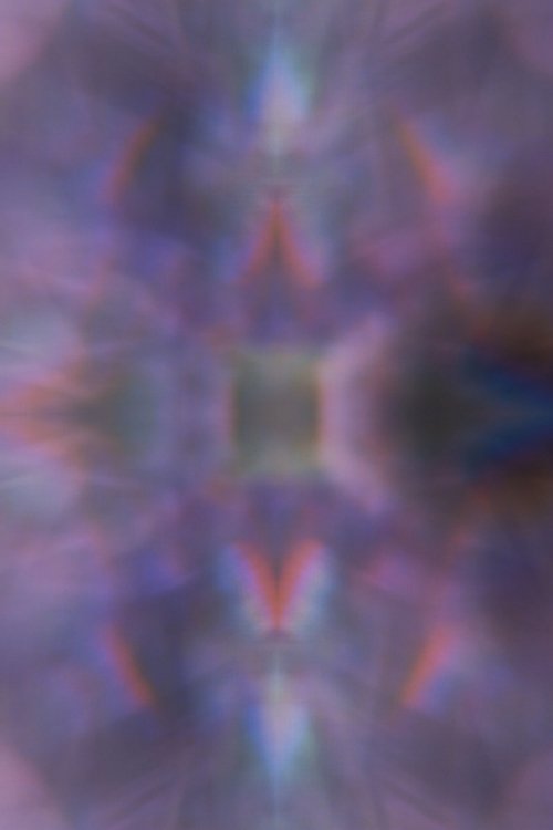 Poster of : Orchid