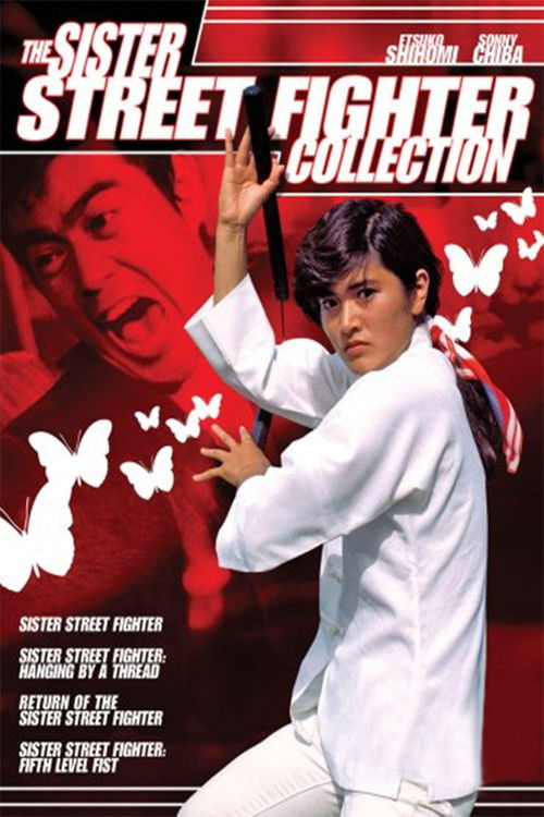 Pòster de Sister Street Fighter Collection