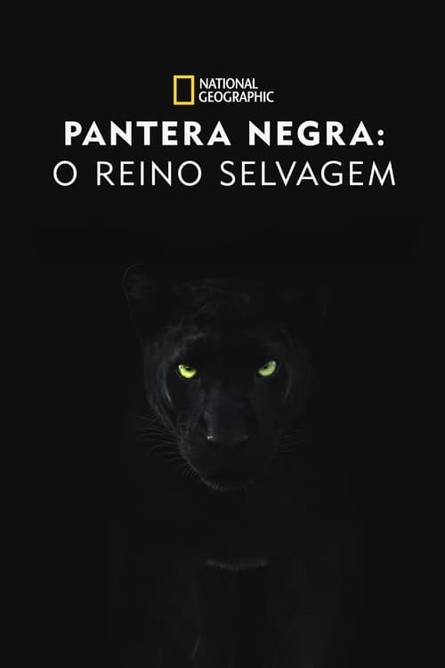 Image Pantera Negra: O Reino Selvagem