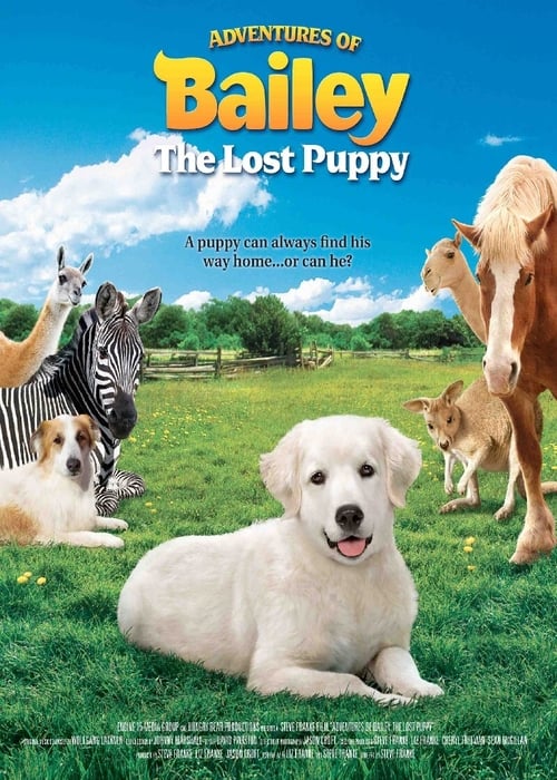 Adventures of Bailey: The Lost Puppy Movie Poster Image