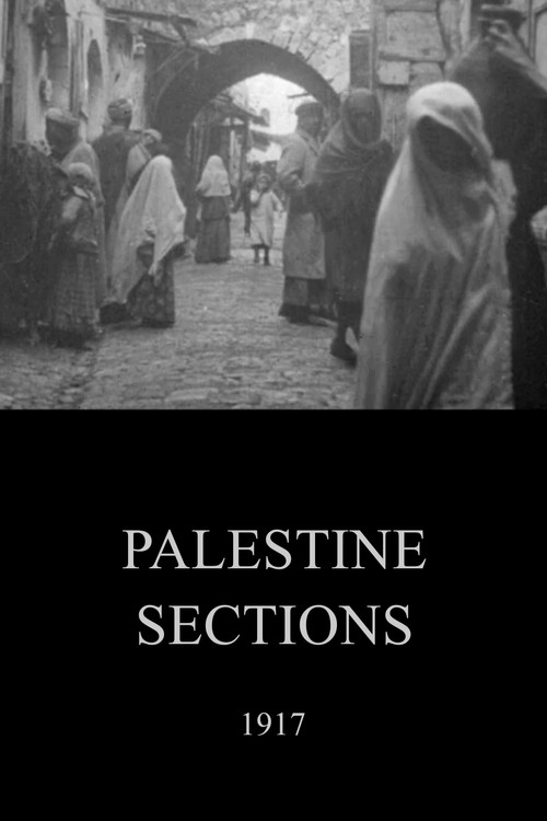 Palestine Sections