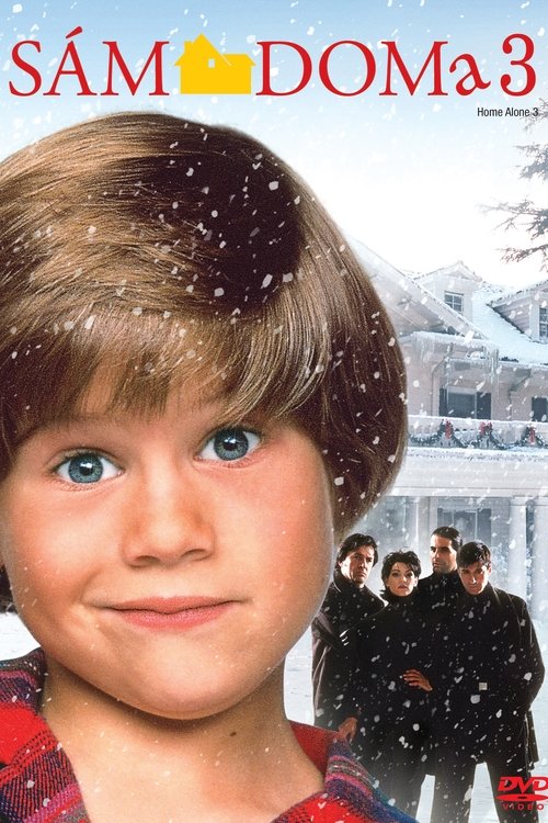 Plakát filmu SÁM DOMA 3