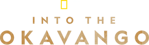 Into the Okavango Logo