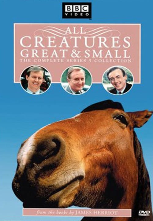 Where to stream All Creatures Great and Small Season 5