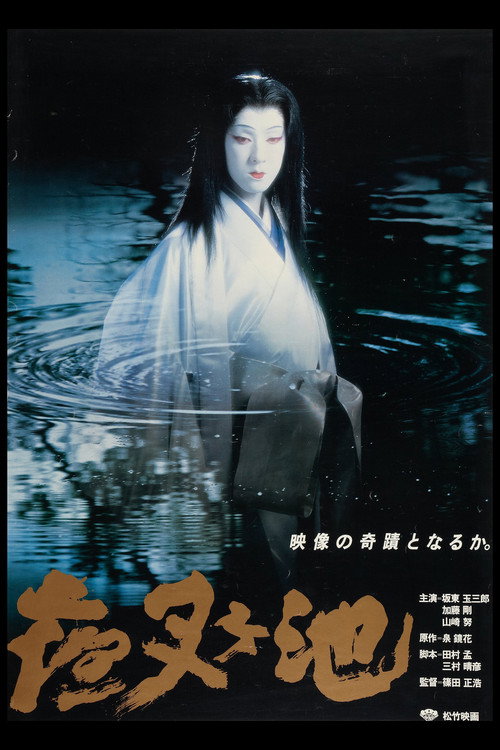 Demon Pond poster