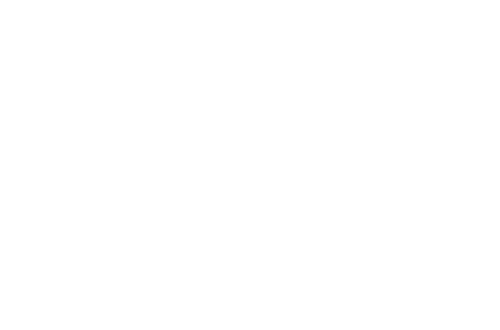 Pancho Villa: The Centaur of the North