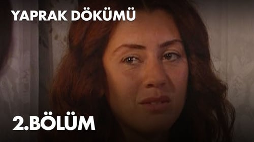 Poster della serie Yaprak Dökümü