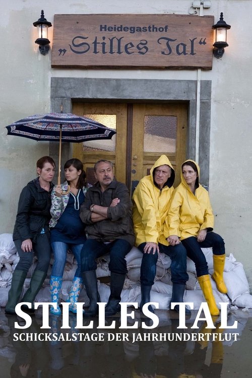 Stilles Tal movie poster player