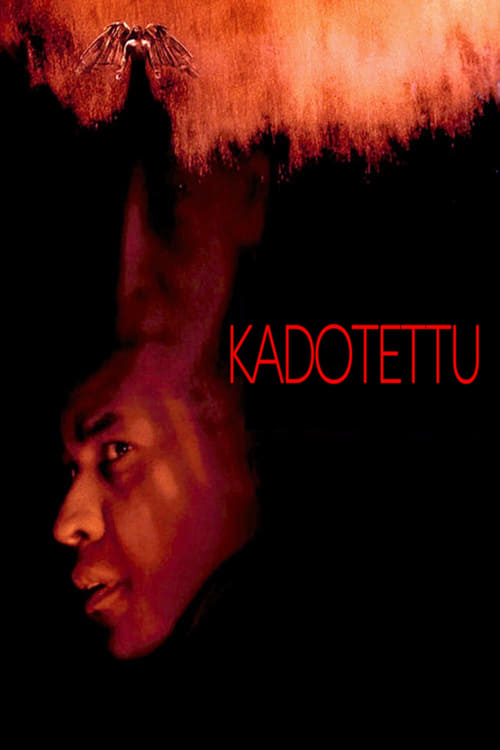 Kadotettu