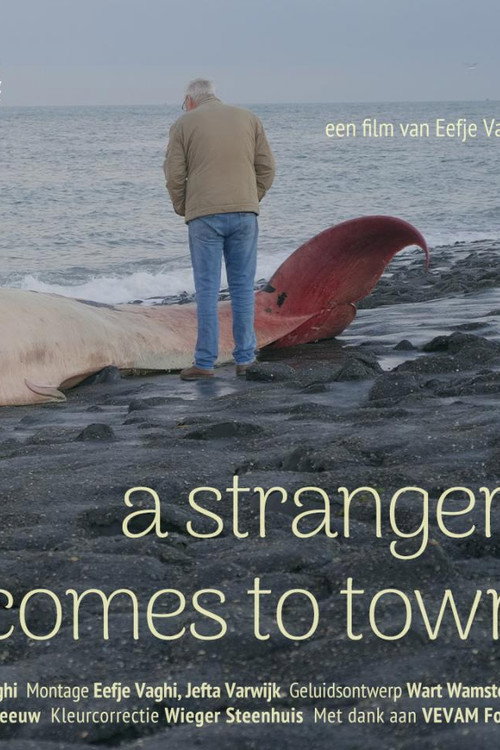 a stranger comes to town