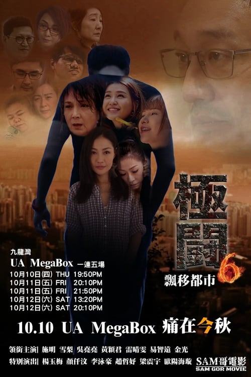 極闘6：飄移都市 (2019)