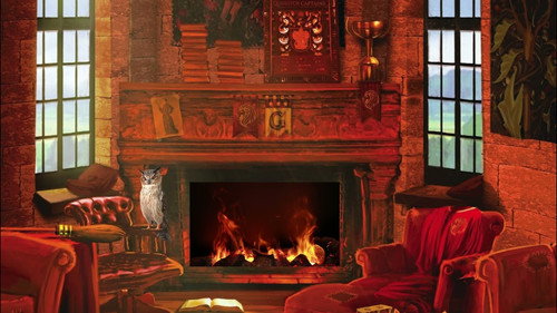 Harry Potter: Fireplace
