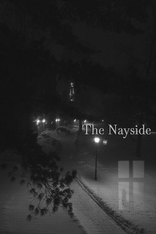 Cartell de The Nayside