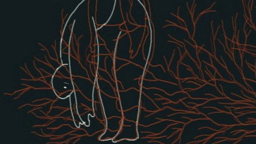 Veins of Anxiety Backdrop Blur