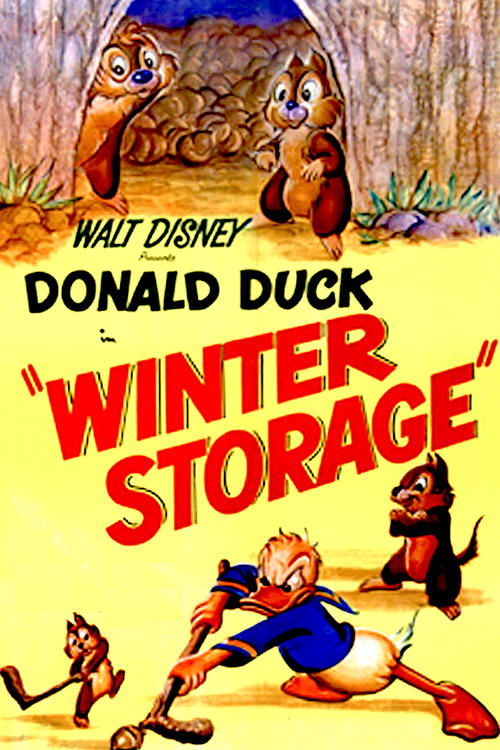 Winter Storage poster