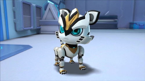 Image de l'épisode 20