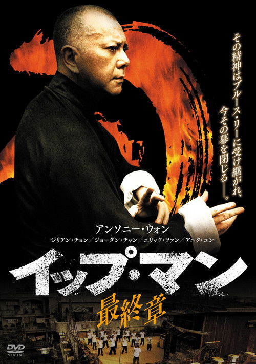 Ip Man: The Final Fight poster