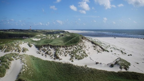 Luv & Lee AMRUM - der Film Backdrop Blur