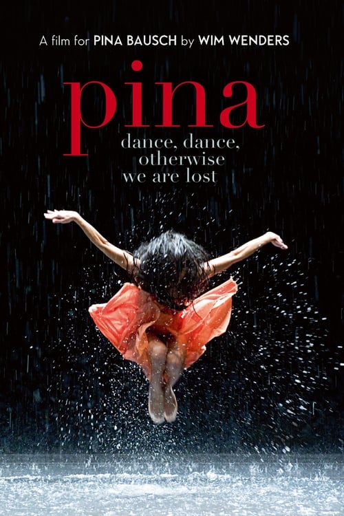 Grootschalige poster van Pina