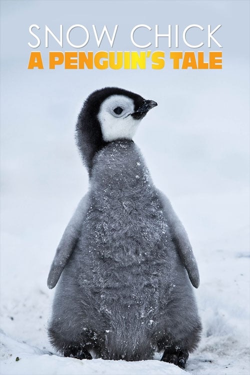 A chronicle of the birth and development of one penguin chick, born late and smaller than any of its fellow toddlers.