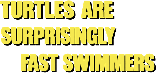 Turtles Swim Faster Than Expected Kame Wa Igai To Hayaku Oyogu (2005)