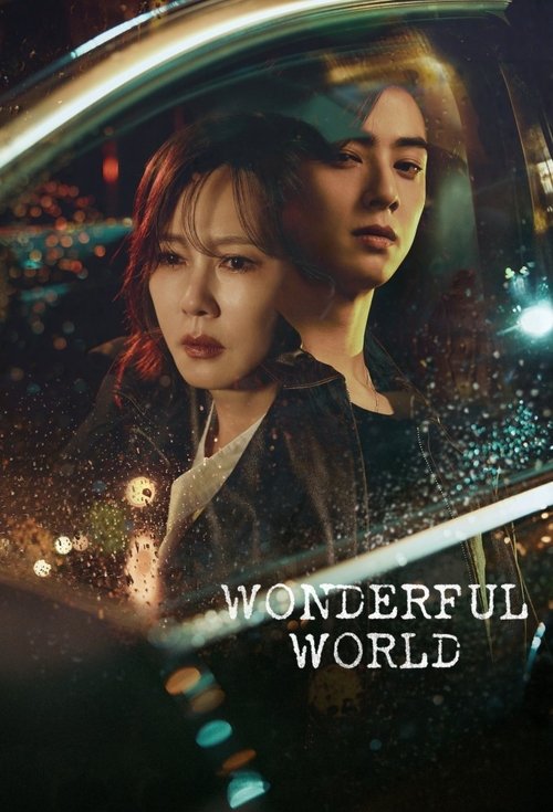 Where to stream Wonderful World