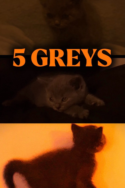 5 greys