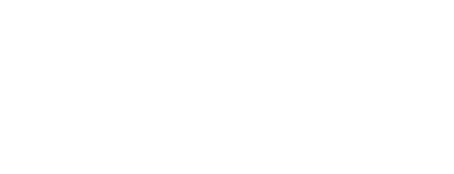 Aranyak