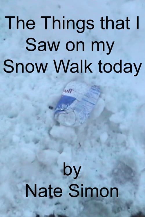 The Things that I Saw on my Snow Walk today