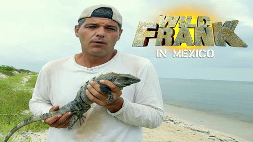 Wild Frank in Mexico - Season 1 Backdrop Blur