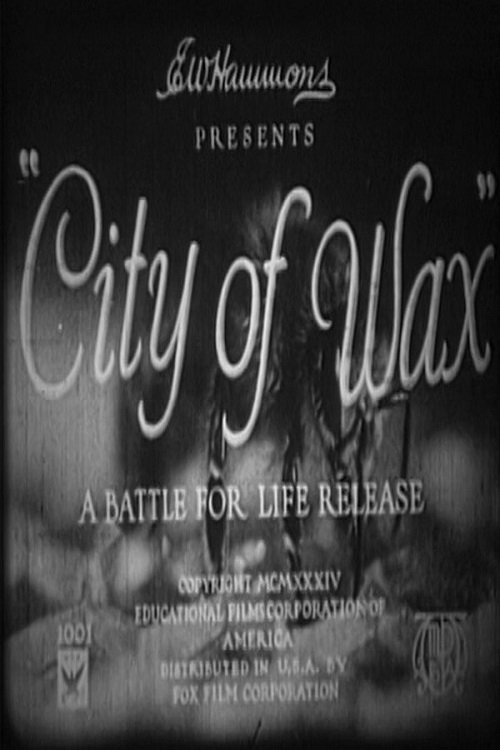 City of Wax movie poster player