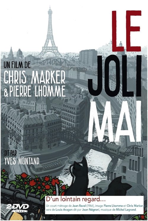 D'un lointain regard movie poster player