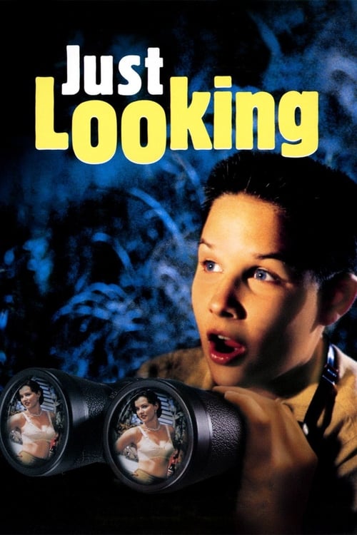 Just Looking (1999) poster