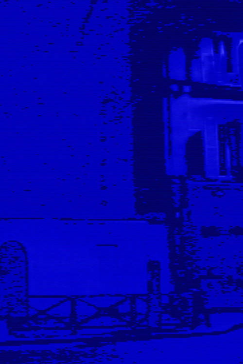 No Signal