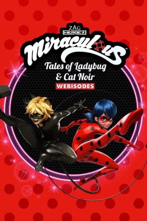 Poster Miraculous Secrets