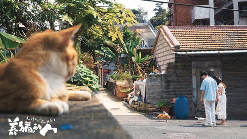 养猫的人 — Fundos 3