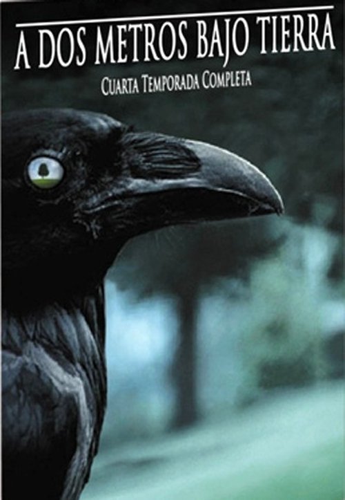 Póster de la temporada 4 de la serie A dos metros bajo tierra