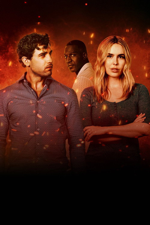 Affiche de La flamme du danger