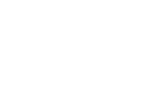 Legend of Fei's logo image