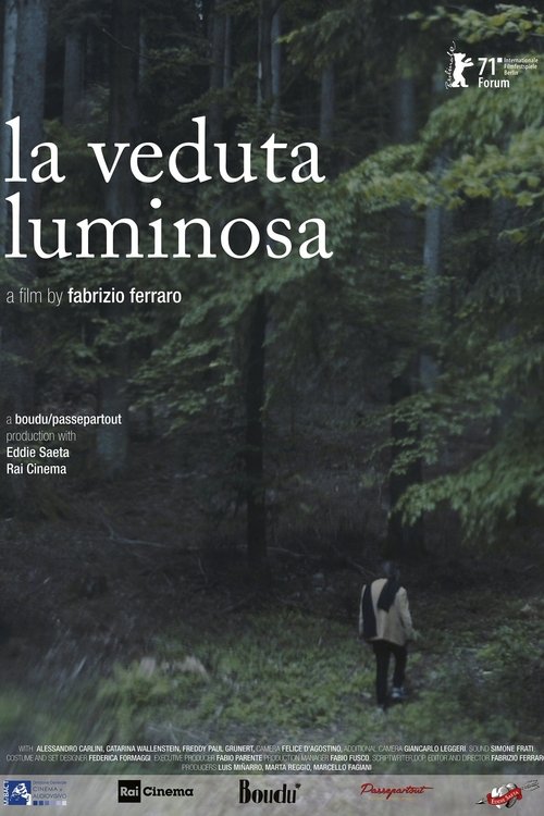 The Luminous View poster