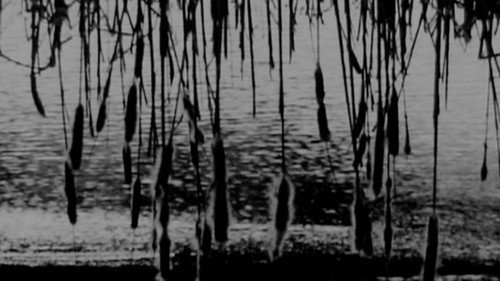 U-Turn — Backdrops 1