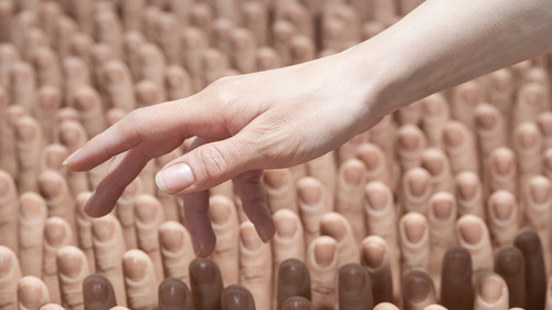 The Finger Rub Rug Backdrop Blur