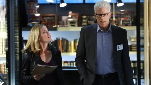 CSI: Crime Scene Investigation: 15×9