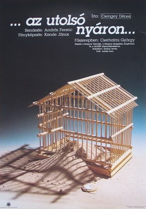 Az utolsó nyáron (1991)