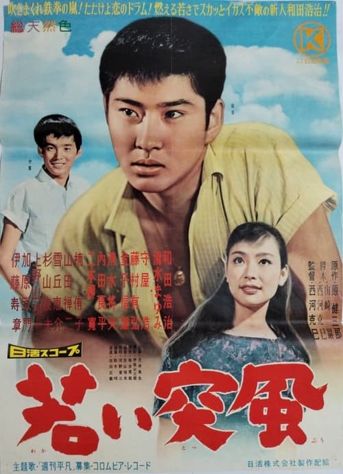 若い突風 (1960) poster