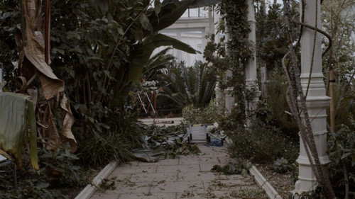 as a bird that briefly perches