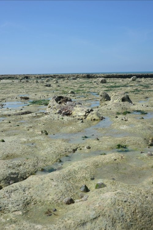 Stone