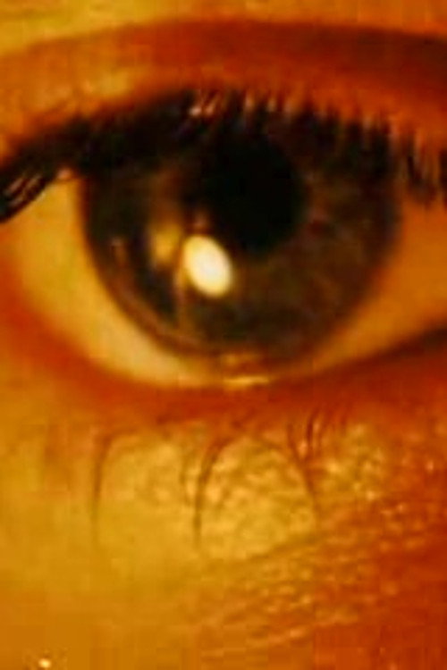 Image Noise (Osmin's Windows) still 4